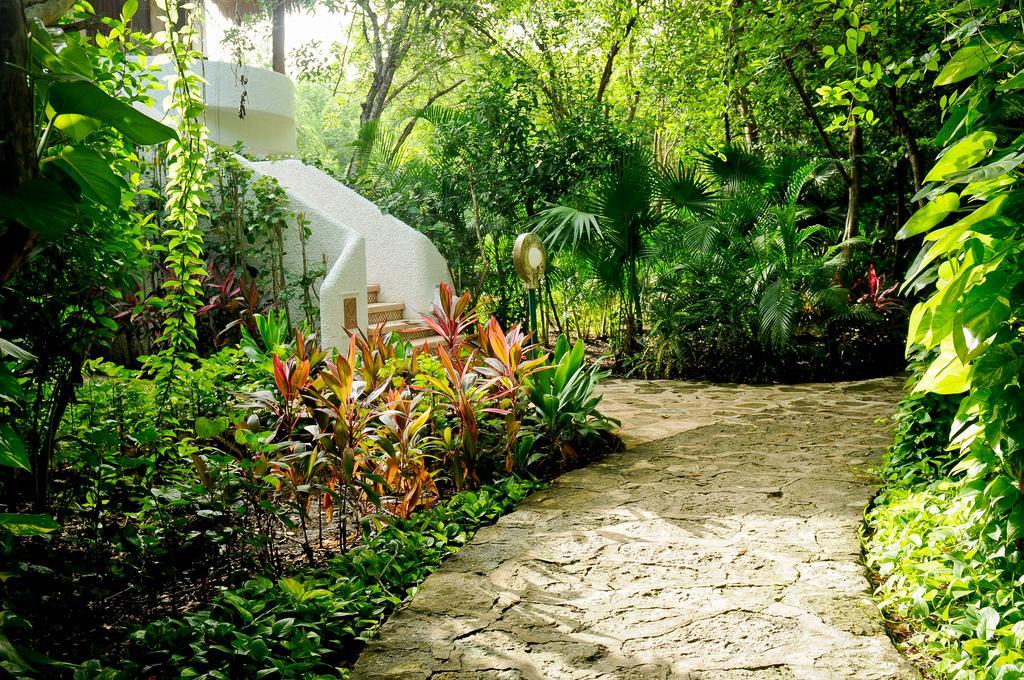 Amarte Maroma Hotel Eco Boutique Spa Punta Maroma ภายนอก รูปภาพ
