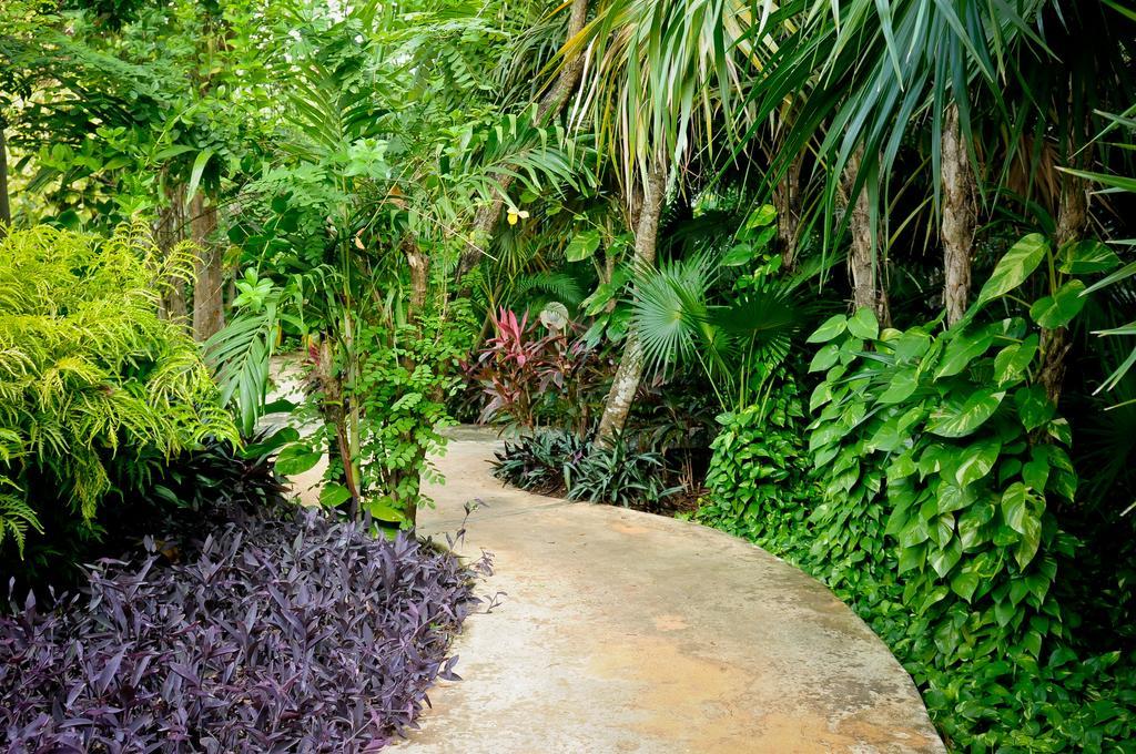 Amarte Maroma Hotel Eco Boutique Spa Punta Maroma ภายนอก รูปภาพ