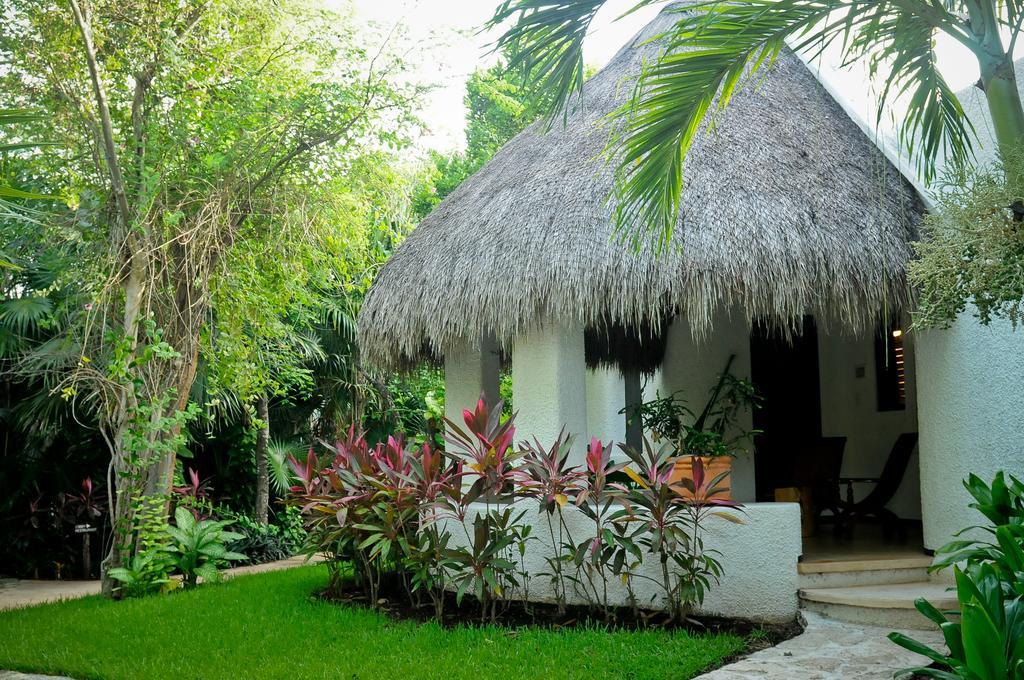 Amarte Maroma Hotel Eco Boutique Spa Punta Maroma ภายนอก รูปภาพ