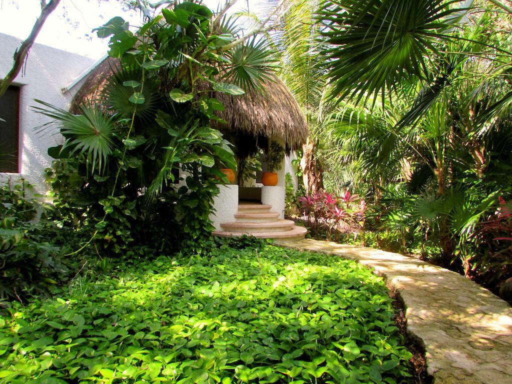 Amarte Maroma Hotel Eco Boutique Spa Punta Maroma ภายนอก รูปภาพ