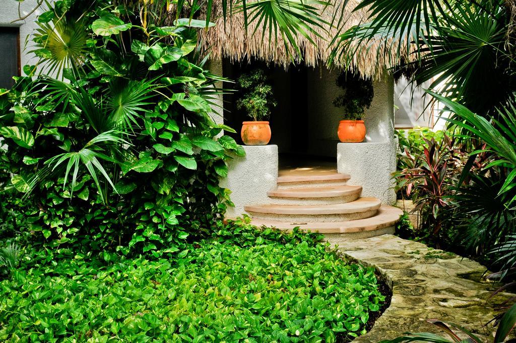 Amarte Maroma Hotel Eco Boutique Spa Punta Maroma ห้อง รูปภาพ