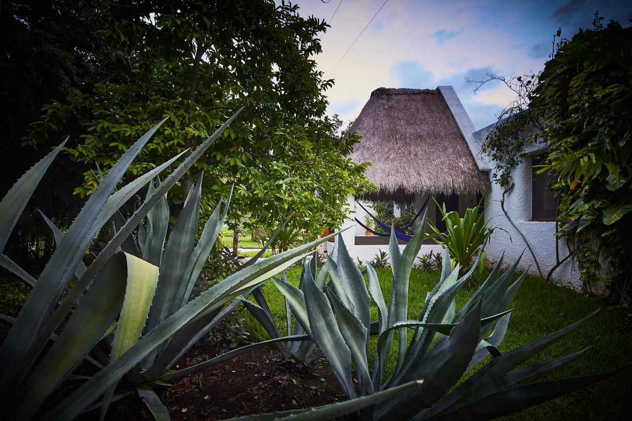 Amarte Maroma Hotel Eco Boutique Spa Punta Maroma ภายนอก รูปภาพ