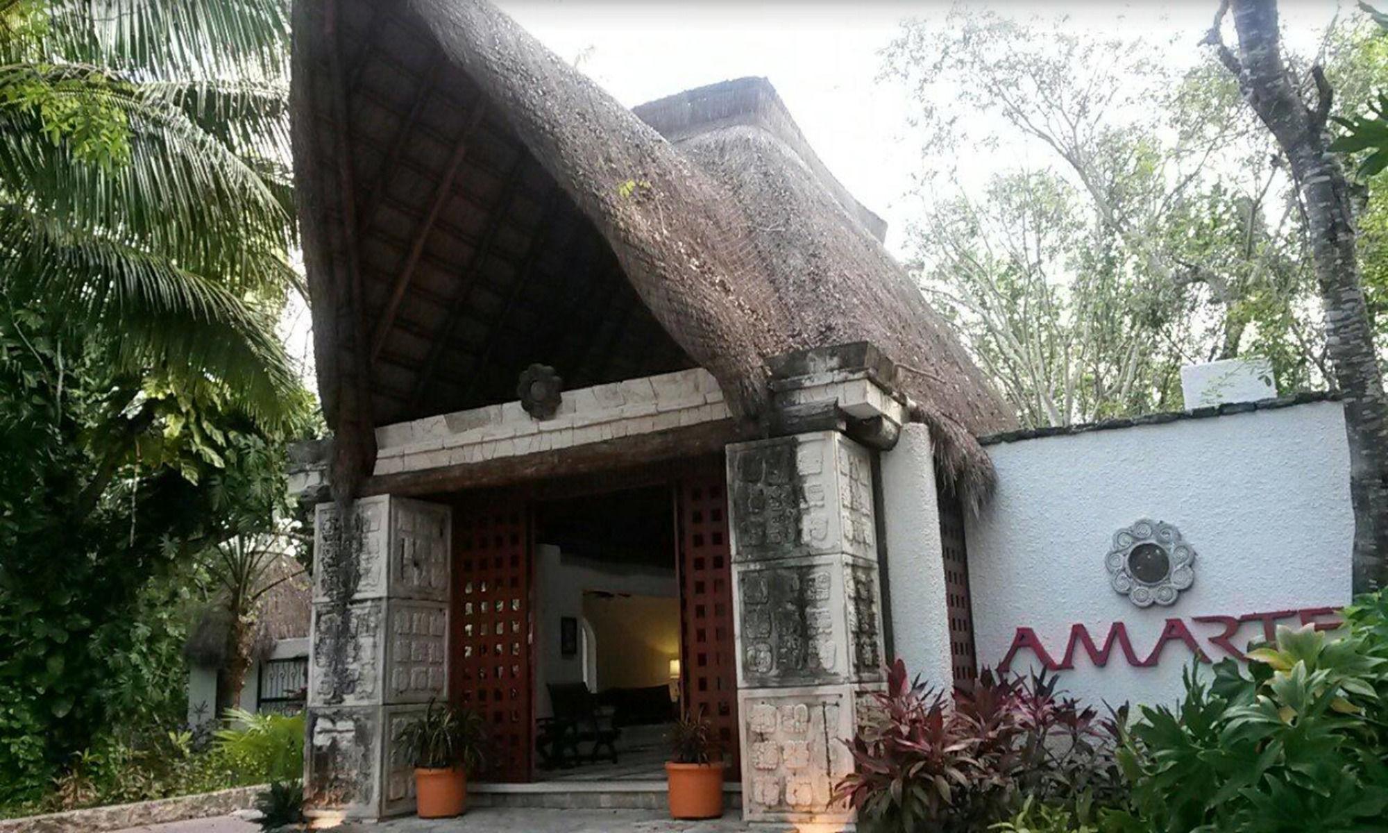 Amarte Maroma Hotel Eco Boutique Spa Punta Maroma ภายนอก รูปภาพ